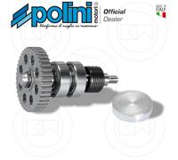 Kit Revisione Pompa Acqua PIAGGIO NRG POLINI 280.0008