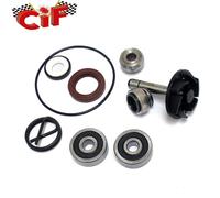 KIT REVISIONE POMPA ACQUA APRILIA ATLANTIC SCARABEO MALAGUTI MADISON PIAGGIO BEV