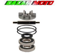 Kit revisione pompa acqua DERBI 50 PREDATOR LC 2001 RMS 100110240