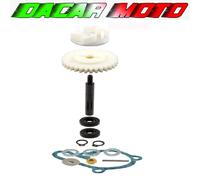 Kit revisione pompa acqua GILERA RCR EURO 4 50 2018