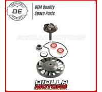Rms Piaggio Beverly 125-200cc/hexagon Gtx 125-180cc 100110070 Water Pump Rebuild Kit Argento
