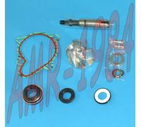 KIT REVISIONE POMPA ACQUA H2O KYMCO DOWNTOWN PEOPLE 300 AA00833