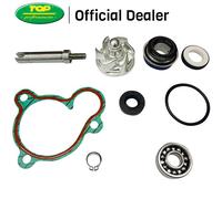 KIT REVISIONE POMPA ACQUA H2O KYMCO DOWNTOWN PEOPLE 300 GTI AA00833