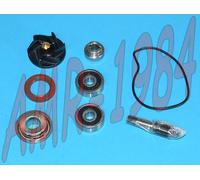 KIT REVISIONE POMPA ACQUA H2O SCOOTER PIAGGIO PIAGGIO 250 300 100110440