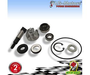 Kit Revisione Pompa Acqua Honda Sh 300 Tutti Modelli