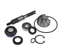 KIT REVISIONE POMPA ACQUA TOP PERFOMANCE HONDA PANTHEON IE 2003 2004 2005