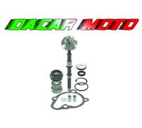 Kit revisione pompa acqua KYMCO DINK CLASSIC 125-150 EURO 2 2003 RMS