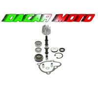 Kit revisione pompa acqua KYMCO MXU R 300 2010 RMS