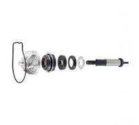 Olympia Kit Revisione Pompa Acqua per Honda NSS Forza 300 2013 2014 2015 2016 2017 2018 2019