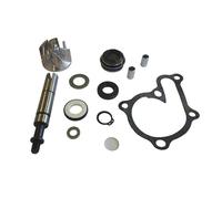 Kit Revisione Pompa Acqua per Kymco Downtown 125 2009 2014 2015 2016
