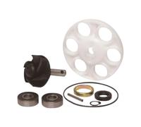 Kit Revisione Pompa Acqua per Malaguti F12 LC 1994-1998, F15 Fire Fox 1996-1998, Aprilia SR 1994-1996
