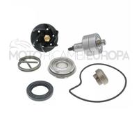 Kit revisione pompa acqua PIAGGIO 250 BEVERLY 2006 2007 RMS 100110210