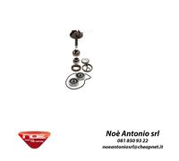 Kit revisione pompa acqua Piaggio Beverly 250cc 2004/2005 cod 1024 100110220 rms