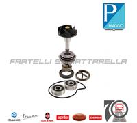 Kit Revisione Pompa Acqua Piaggio Beverly Carnaby Mp3 Vespa X8 X9 125 250 300...