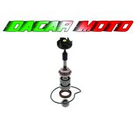 Kit revisione pompa acqua PIAGGIO MP3 300 IE MIC 300 2010 RMS