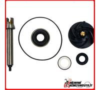 KIT REVISIONE POMPA ACQUA PIAGGIO MP3 500LT BUSINESS-SPORT / ABS 500 2011-2016 P