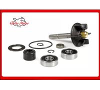 KIT REVISIONE POMPA ACQUA PIAGGIO NRG 50 2T LC 94 00 RMS 100110020