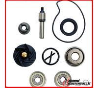 KIT REVISIONE POMPA ACQUA PIAGGIO X EVO 125 - ETRIER AR 1 AXE 125 2007-2008 POMP