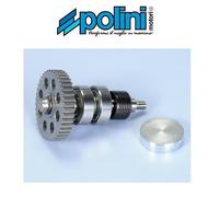 280.0008 KIT REVISIONE POMPA ACQUA POLINI PIAGGIO NRG MC2