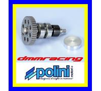 Kit Revisione Pompa Acqua PIAGGIO NRG POLINI 280.0008