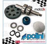 KIT REVISIONE POLINI POMPA ACQUA MOTORE PIAGGIO ZIP SP H2O 50 A LIQUIDO