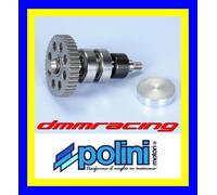 Kit Revisione Pompa Acqua PIAGGIO NRG POLINI 280.0008