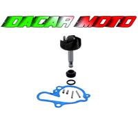 Kit revisione pompa acqua RIEJU RR 50 SPIKE SPORT EDITION SUPERMOTO 2004 RMS
