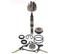 KIT REVISIONE POMPA ACQUA RMS HONDA FES 250 FORESIGHT 250 2000 2005 MF05A
