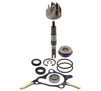 KIT REVISIONE POMPA ACQUA RMS HONDA FORESIGHT 250CC 1998