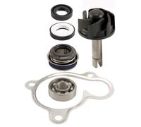 KIT REVISIONE POMPA ACQUA RMS MALAGUTI MADISON S 250 1999 2001 540000