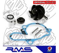 KIT REVISIONE POMPA ACQUA RMS MINARELLI AM6