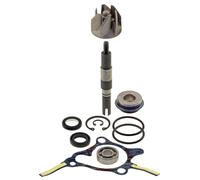 KIT REVISIONE POMPA ACQUA RMS PER HONDA FORESIGHT 250 1998