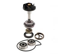 Rms Piaggio Beverly 250-300cc 100110210 Water Pump Rebuild Kit Argento
