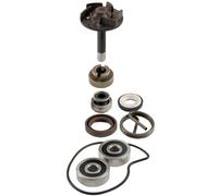 Kit revisione pompa acqua RMS Piaggio Beverly 250cc 2004/2005