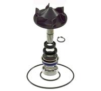 KIT REVISIONE POMPA ACQUA RMS YAMAHA XP530D A T MAX DX 530 2017 2019 SJ145