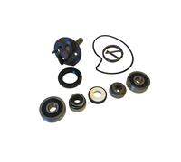 KIT REVISIONE POMPA ACQUA SCOOTER PIAGGIO BEVERLY 250 ANNI 2005 GIRANTE D. 8 MM