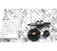 KIT REVISIONE POMPA ACQUA SCOOTER PIAGGIO NRG RULLER 50 ORIGINALE