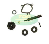 KIT REVISIONE POMPA ACQUA TOP PER DERBI SENDA SM X TREME EU2 50 2T 2004