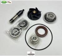 KIT REVISIONE POMPA ACQUA TOP PER MOTORI PIAGGIO APRILIA DERBI 250 300 -AA00828