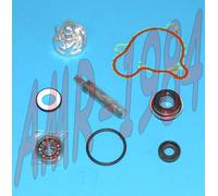KIT REVISIONE POMPA ACQUA YAMAHA MAJESTY 250 APRILIA LEONARDO 250 00806