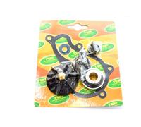 KIT REVISIONE POMPA H2O PIAGGIO BEVERLY 350CC