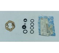 KIT REVISIONE POMPA RIBALTABILE APE MP-CAR P2-P3-MAX DIESEL-POKER BENZINA E DIES