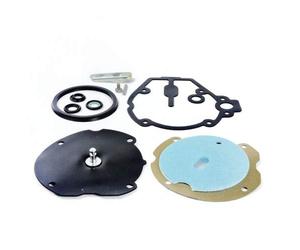 Kit Revisione Riduttore Gpl LI02-LI03 Landi Renzo