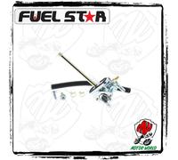 KIT REVISIONE RUBINETTO BENZINA Kawasaki KL 650 A 2005