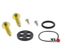KIT REVISIONE RUBINETTO BENZINA KTM SXS 85 2013-2014 ALL BALLS 60-1014