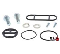 KIT REVISIONE RUBINETTO BENZINA YAMAHA YZ65 2018-2022 ALL BALLS 60-1000