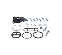 KIT REVISIONE RUBINETTO CARBURANTE (RIF. ALL-BALLS: 60-1066)