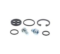 KIT REVISIONE RUBINETTO CARBURANTE (RIF. ALL-BALLS: 60-1096)