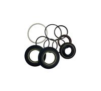 Kit revisione scatola sterzo idraulica DODGE Caravan 00-07