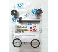 KIT REVISIONE SOSPENSIONE PERNO SNODO MOLLEGGIO FORCELLA APE 50 P TM 16x75